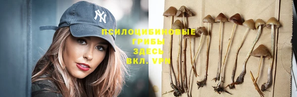 эйфоретик Алзамай