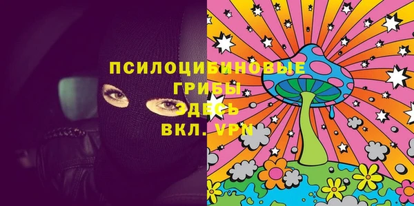 эйфоретик Алзамай
