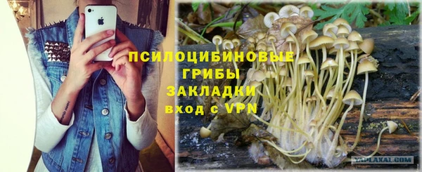 мяу мяу мука Алексин