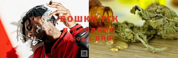 эйфоретик Алзамай