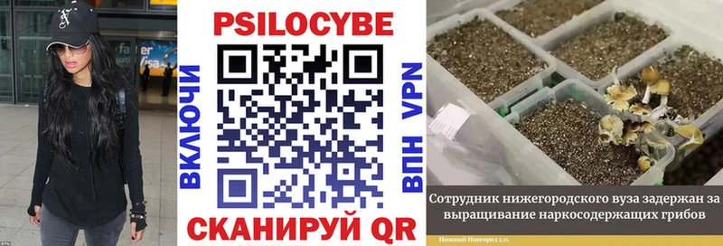 кракен сайт  это клад  Галлюциногенные грибы Psilocybine cubensis  Первоуральск 